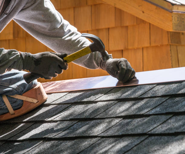 Best Roof Gutter Cleaning  in Village Of Waukesha, WI